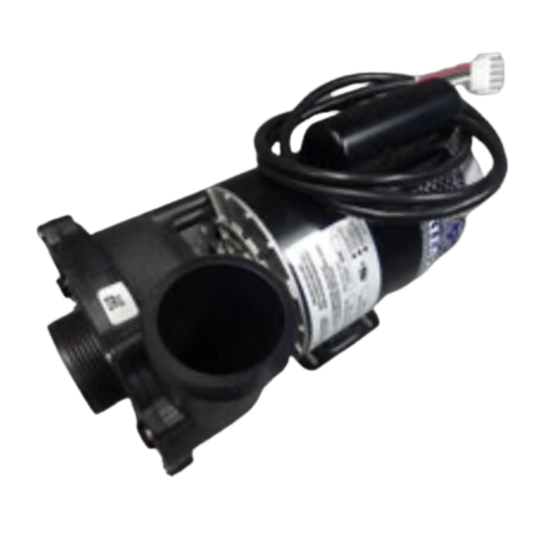 WATERWAY EXEC 2 SPD 3.0 HP 240V 2" X 2" PUMP