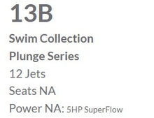 Load image into Gallery viewer, 1300 PLUNGE SWIM SPA ** IN STOCK **
